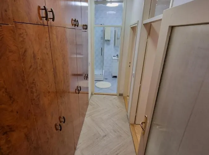 Apartman Big Downtown Across National Theater